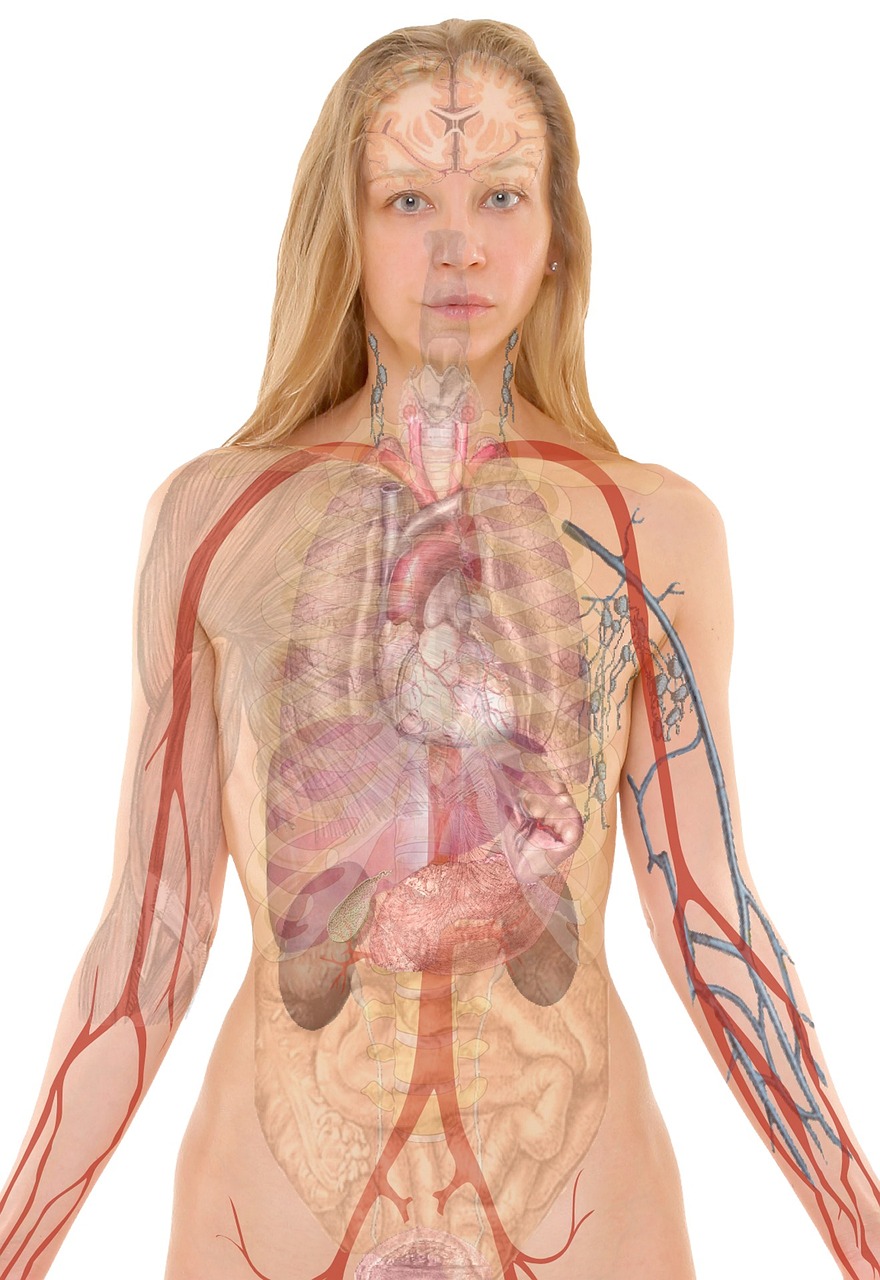 entdecken sie umfassende informationen über lungenkrebs, einschließlich ursachen, symptome und behandlungsoptionen. erfahren sie, wie sie das risiko reduzieren und frühzeitig erkennen können, um ihre gesundheit zu schützen.